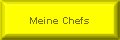 Meine Chefs